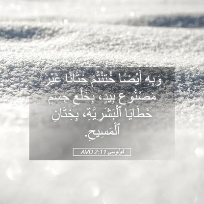 Picture 05 - كُولُوسِي 2:11 AVD - وَبِهِ أَيْضًا خُتِنْتُمْ - Bible Verse Picture