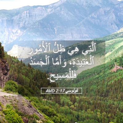 Picture 05 - كُولُوسِي 2:17 AVD - ٱلَّتِي هِيَ ظِلُّ - Bible Verse Picture