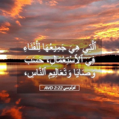 Picture 05 - كُولُوسِي 2:22 AVD - ٱلَّتِي هِيَ جَمِيعُهَا - Bible Verse Picture
