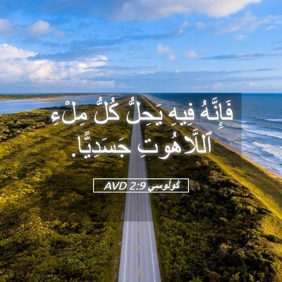 Picture 05 - كُولُوسِي 2:9 AVD - فَإِنَّهُ فِيهِ يَحِلُّ - Bible Verse Picture