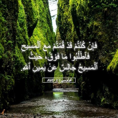 Picture 05 - كُولُوسِي 3:1 AVD - فَإِنْ كُنْتُمْ قَدْ - Bible Verse Picture