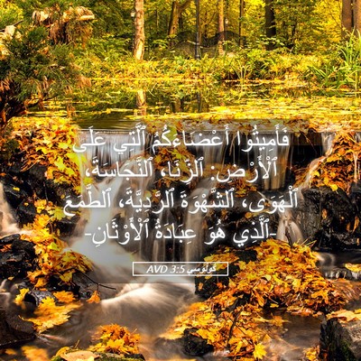 Picture 05 - كُولُوسِي 3:5 AVD - فَأَمِيتُوا أَعْضَاءَكُمُ - Bible Verse Picture