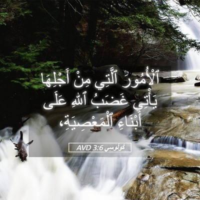 Picture 05 - كُولُوسِي 3:6 AVD - ٱلْأُمُورَ ٱلَّتِي مِنْ - Bible Verse Picture