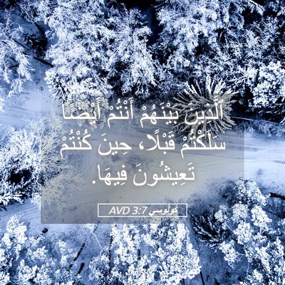 Picture 05 - كُولُوسِي 3:7 AVD - ٱلَّذِينَ بَيْنَهُمْ - Bible Verse Picture