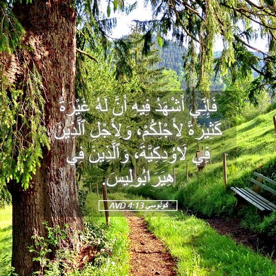 Picture 05 - كُولُوسِي 4:13 AVD - فَإِنِّي أَشْهَدُ فِيهِ - Bible Verse Picture