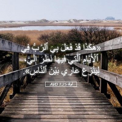 Picture 05 - لُوقا 1:25 AVD - «هَكَذَا قَدْ فَعَلَ بِيَ - Bible Verse Picture