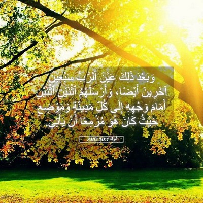 Picture 05 - لُوقا 10:1 AVD - وَبَعْدَ ذَلِكَ عَيَّنَ - Bible Verse Picture