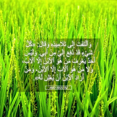 Picture 05 - لُوقا 10:22 AVD - وَٱلْتَفَتَ إِلَى - Bible Verse Picture