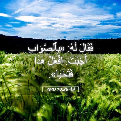 Picture 05 - لُوقا 10:28 AVD - فَقَالَ لَهُ: - Bible Verse Picture