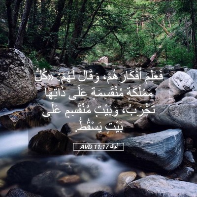Picture 05 - لُوقا 11:17 AVD - فَعَلِمَ أَفْكَارَهُمْ، - Bible Verse Picture