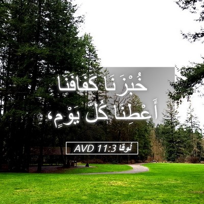 Picture 05 - لُوقا 11:3 AVD - خُبْزَنَا كَفَافَنَا - Bible Verse Picture