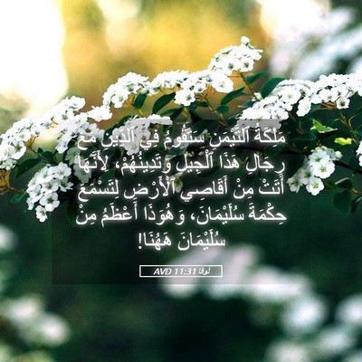 Picture 05 - لُوقا 11:31 AVD - مَلِكَةُ ٱلتَّيْمَنِ - Bible Verse Picture