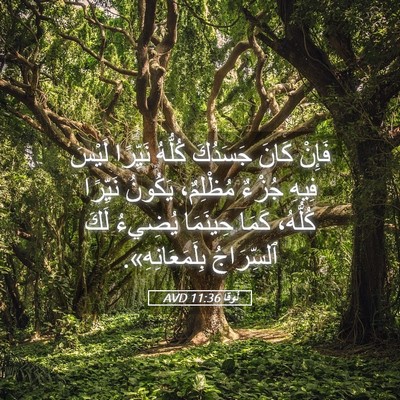Picture 05 - لُوقا 11:36 AVD - فَإِنْ كَانَ جَسَدُكَ - Bible Verse Picture