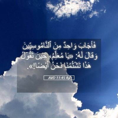 Picture 05 - لُوقا 11:45 AVD - فَأجَابَ وَاحِدٌ مِنَ - Bible Verse Picture