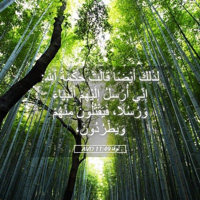 Picture 05 - لُوقا 11:49 AVD - لِذَلِكَ أَيْضًا قَالَتْ - Bible Verse Picture