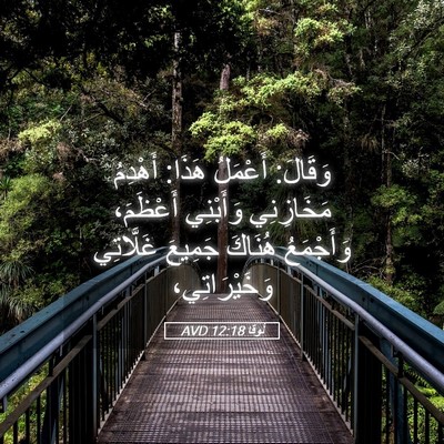 Picture 05 - لُوقا 12:18 AVD - وَقَالَ: أَعْمَلُ هَذَا: - Bible Verse Picture