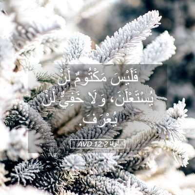 Picture 05 - لُوقا 12:2 AVD - فَلَيْسَ مَكْتُومٌ لَنْ - Bible Verse Picture