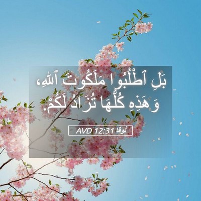 Picture 05 - لُوقا 12:31 AVD - بَلِ ٱطْلُبُوا مَلَكُوتَ - Bible Verse Picture