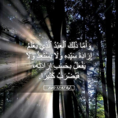 Picture 05 - لُوقا 12:47 AVD - وَأَمَّا ذَلِكَ ٱلْعَبْدُ - Bible Verse Picture