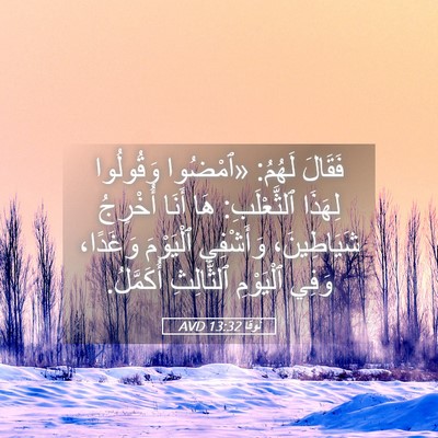 Picture 05 - لُوقا 13:32 AVD - فَقَالَ لَهُمُ: «ٱمْضُوا - Bible Verse Picture