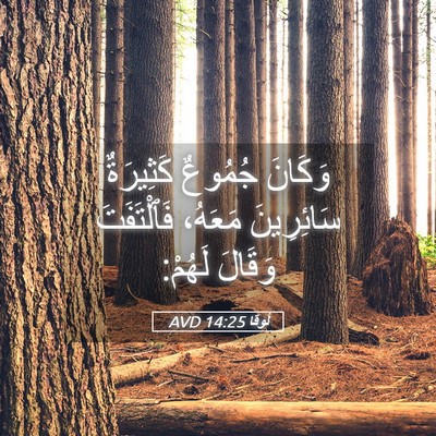 Picture 05 - لُوقا 14:25 AVD - وَكَانَ جُمُوعٌ كَثِيرَةٌ - Bible Verse Picture
