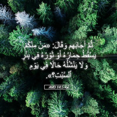 Picture 05 - لُوقا 14:5 AVD - ثُمَّ أجَابَهم وَقَالَ: - Bible Verse Picture
