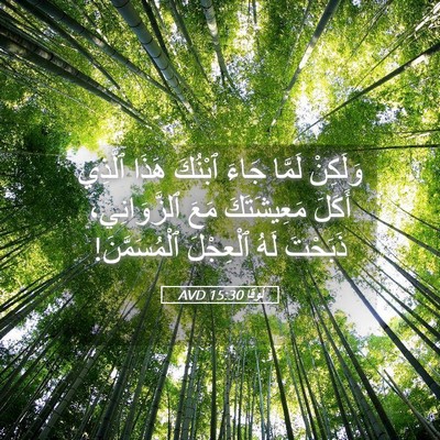 Picture 05 - لُوقا 15:30 AVD - وَلَكِنْ لَمَّا جَاءَ - Bible Verse Picture