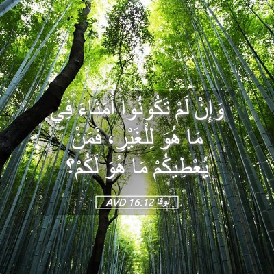 Picture 05 - لُوقا 16:12 AVD - وَإِنْ لَمْ تَكُونُوا - Bible Verse Picture