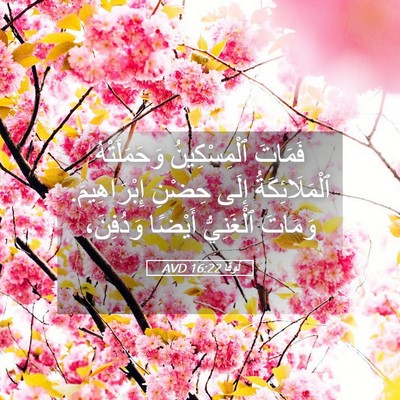 Picture 05 - لُوقا 16:22 AVD - فَمَاتَ ٱلْمِسْكِينُ - Bible Verse Picture