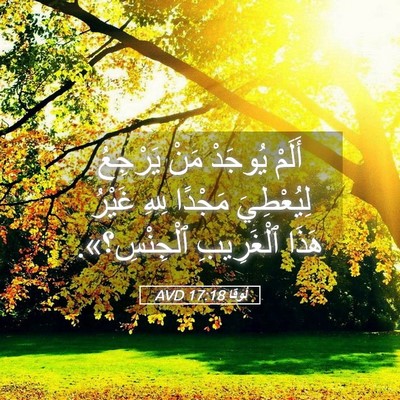 Picture 05 - لُوقا 17:18 AVD - أَلَمْ يُوجَدْ مَنْ - Bible Verse Picture