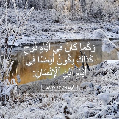 Picture 05 - لُوقا 17:26 AVD - وَكَمَا كَانَ فِي أَيَّامِ - Bible Verse Picture