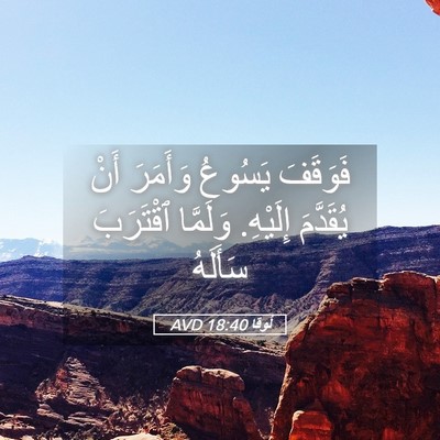 Picture 05 - لُوقا 18:40 AVD - فَوَقَفَ يَسُوعُ وَأَمَرَ - Bible Verse Picture