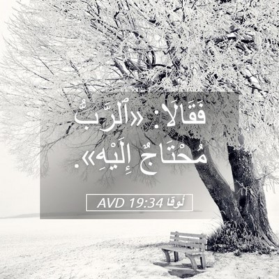 Picture 05 - لُوقا 19:34 AVD - فَقَالَا: «ٱلرَّبُّ - Bible Verse Picture