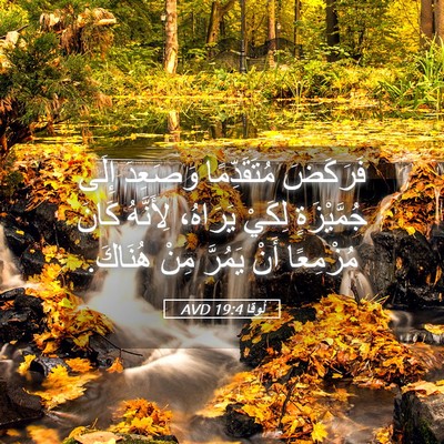 Picture 05 - لُوقا 19:4 AVD - فَرَكَضَ مُتَقَدِّمًا - Bible Verse Picture