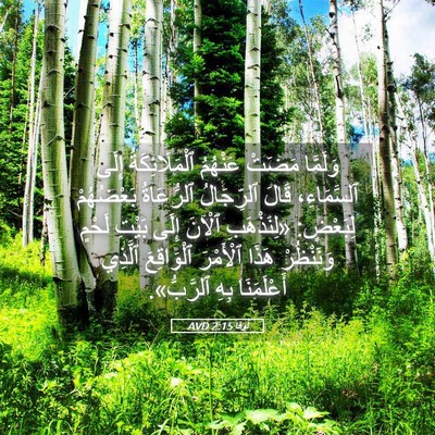 Picture 05 - لُوقا 2:15 AVD - وَلَمَّا مَضَتْ عَنْهُمُ - Bible Verse Picture