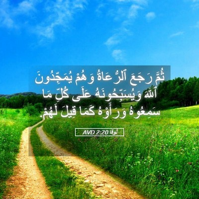Picture 05 - لُوقا 2:20 AVD - ثُمَّ رَجَعَ ٱلرُّعَاةُ - Bible Verse Picture