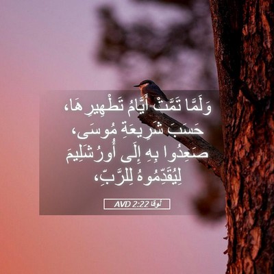Picture 05 - لُوقا 2:22 AVD - وَلَمَّا تَمَّتْ أَيَّامُ - Bible Verse Picture