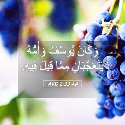 Picture 05 - لُوقا 2:33 AVD - وَكَانَ يُوسُفُ وَأُمُّهُ - Bible Verse Picture