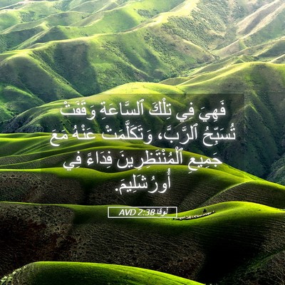 Picture 05 - لُوقا 2:38 AVD - فَهِيَ فِي تِلْكَ - Bible Verse Picture