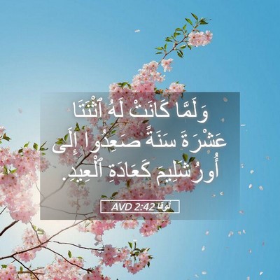 Picture 05 - لُوقا 2:42 AVD - وَلَمَّا كَانَتْ لَهُ - Bible Verse Picture