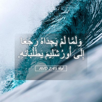 Picture 05 - لُوقا 2:45 AVD - وَلَمَّا لَمْ يَجِدَاهُ - Bible Verse Picture