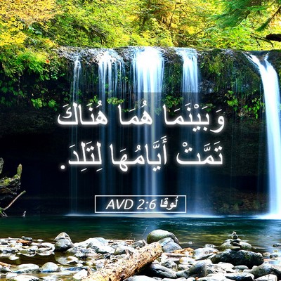 Picture 05 - لُوقا 2:6 AVD - وَبَيْنَمَا هُمَا هُنَاكَ - Bible Verse Picture