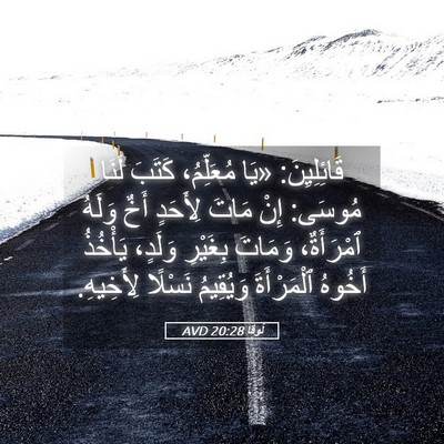 Picture 05 - لُوقا 20:28 AVD - قَائِلِيِنَ: «يَا - Bible Verse Picture