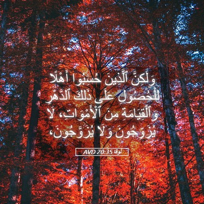 Picture 05 - لُوقا 20:35 AVD - وَلَكِنَّ ٱلَّذِينَ - Bible Verse Picture