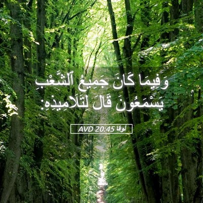 Picture 05 - لُوقا 20:45 AVD - وَفِيمَا كَانَ جَمِيعُ - Bible Verse Picture