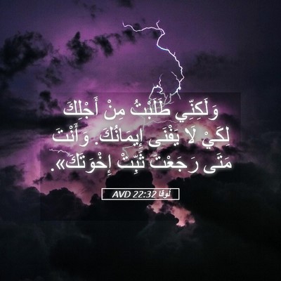 Picture 05 - لُوقا 22:32 AVD - وَلَكِنِّي طَلَبْتُ مِنْ - Bible Verse Picture