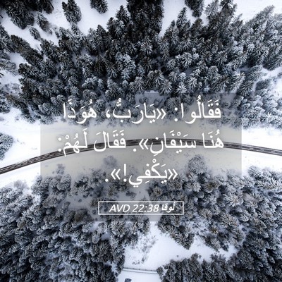 Picture 05 - لُوقا 22:38 AVD - فَقَالُوا: «يَارَبُّ، - Bible Verse Picture