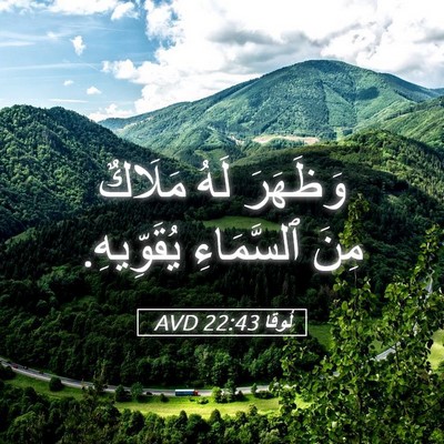 Picture 05 - لُوقا 22:43 AVD - وَظَهَرَ لَهُ مَلَاكٌ مِنَ - Bible Verse Picture