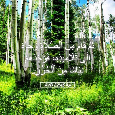 Picture 05 - لُوقا 22:45 AVD - ثُمَّ قَامَ مِنَ - Bible Verse Picture
