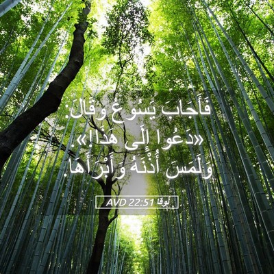 Picture 05 - لُوقا 22:51 AVD - فَأَجَابَ يَسُوعُ وقَالَ: - Bible Verse Picture